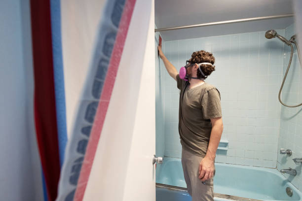 Best Dehumidification Services  in Avon, MN