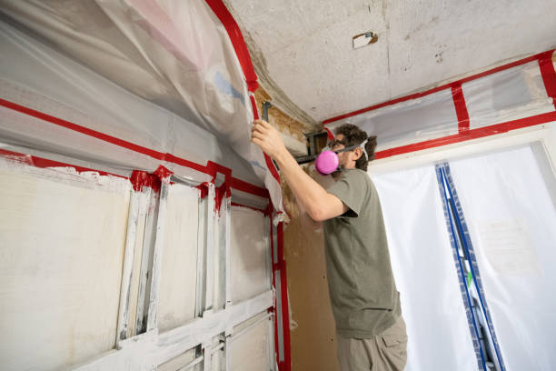 Best Mold Prevention Services  in Avon, MN