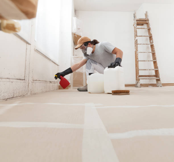 Best Comprehensive Air Testing for Mold Contaminants  in Avon, MN